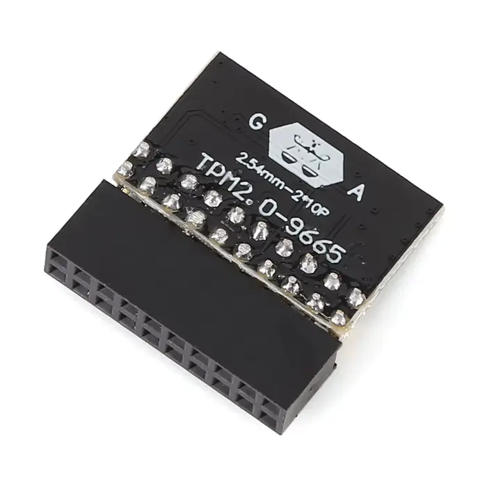 Module de cryptage TPM 2.0