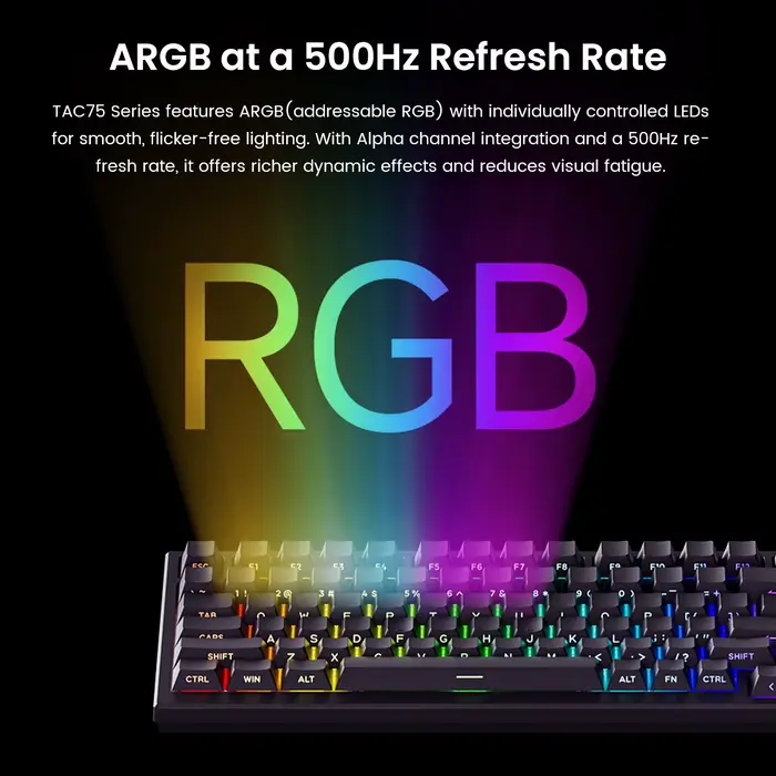 AKKO TAC75 HE clavier à interrupteur magnétique 75% claviers de jeu déclencheur rapide 0.005mm 8K RGB filaire Esports