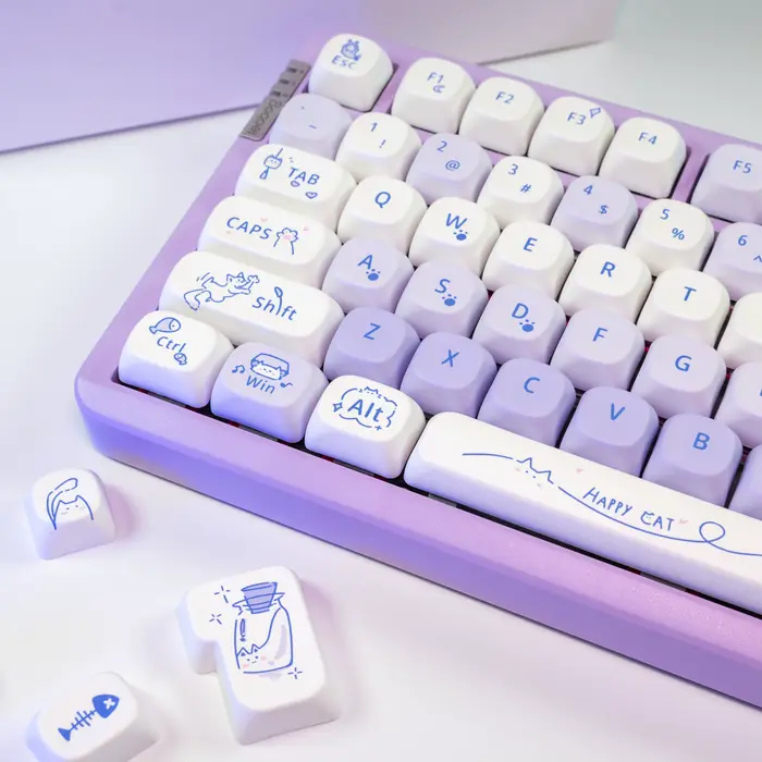 Capuchons de touches en PBT