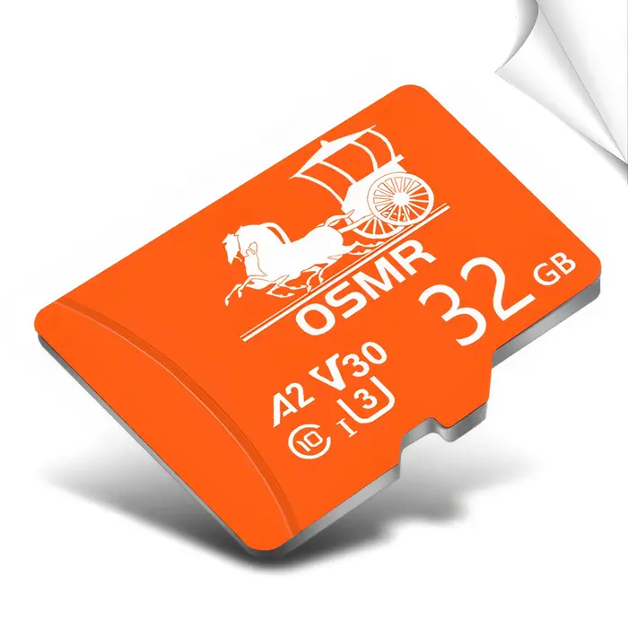 Carte mémoire haute vitesse 2GB 4GB 8GB 16GB 32GB 64GB 128GB Mini carte TF utilisée pour surveiller 