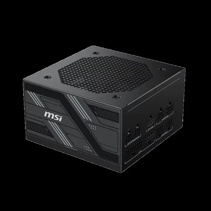 MSI PAG G750LS G850LS PCIE5 MSI 750W 850W 80 PLUS Gold Active PFC OCP / OVP / OPP /SCP / UVP Aliment