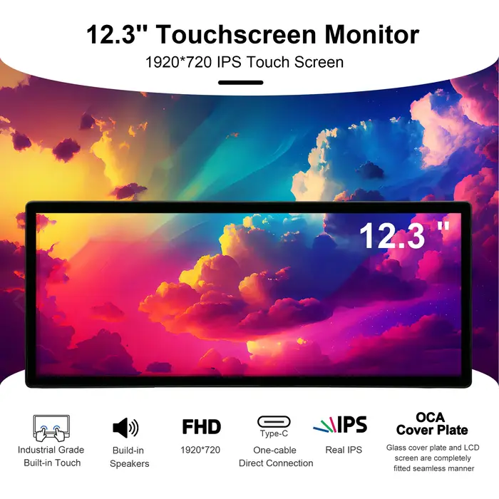 Moniteur portable tactile Wisecoco 12