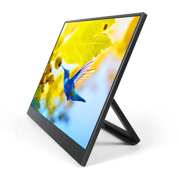 Moniteur Portable de 11.6 pouces, écran de jeu 16:9, 60Hz, 45% NTSC, 250Cd/m2, pour ordinateur Portable, Mac, Xbox, PS4/5, affichage de commutateur, interface type-c