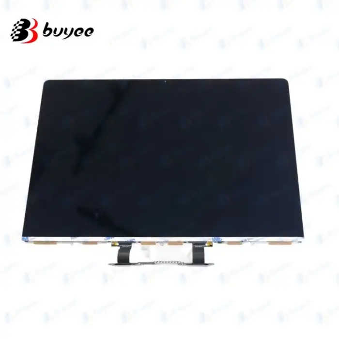 Ordinateur portable A2141 A2289 LCD pour Macbook Pro Retina 16 "écran LCD 2019 année remplacement pa