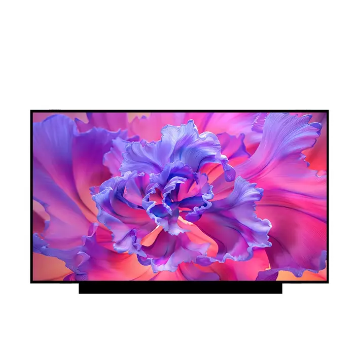 Écran LCD pour ordinateur portable 17.3 pouces